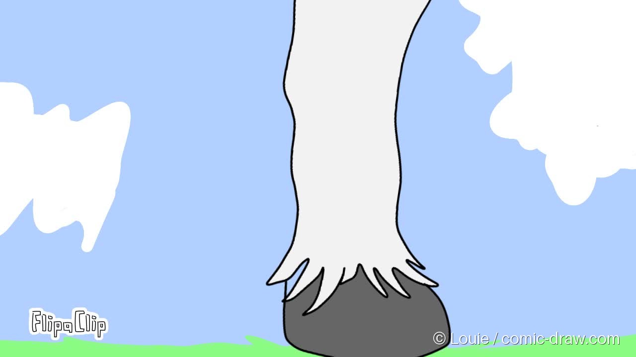 Girl on a horse